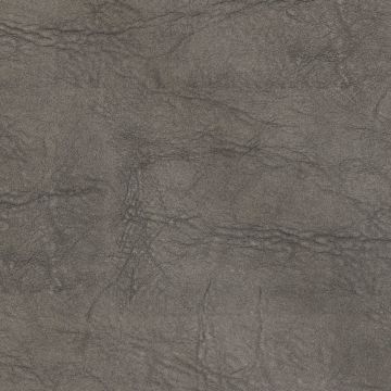 Elephant Charcoal
